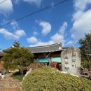 달맞이 흑두부 이미지