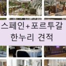 드림항공여행사 이미지