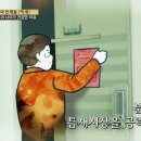 식물병원초록에서