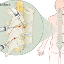 서울본튼튼정형외과의원 이미지
