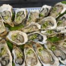 수산약국 이미지