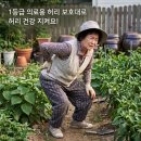 친정엄마반찬 | 1등급 의료용 허리보호대 추천, 바로핏 허리보호대 친정엄마 허리 통증 완화 후기