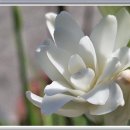 꽃향기민박 이미지