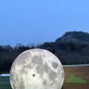 문글램핑