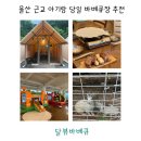 한큐당구카페 | 울산 근교 아기랑 당일 바베큐장 추천 달뷰바베큐 양산점