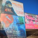 솔향기길 나오리공방 | 샤갈전 굿즈 내돈내산 | 캐서린번하드, 앤서니브라운 기념품 투어