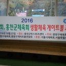 홍천군체육회 이미지