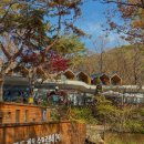 어쩌다동막골 | 서울 노원구 가볼만한곳 수락휴 동막골 자연휴양림 숲캉스 아이랑 재방문 예약 방법 꿀팁