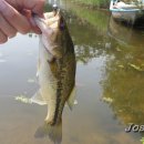 영인 낚시터 이미지