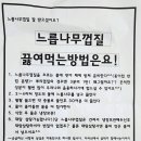 범왕골상회 | 제품후기.[범왕골상회]유근피차,느릅나무껍질