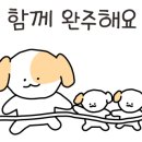 온라인 북클럽(역사) 이미지