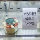 휘치위치 이미지