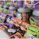 고려태권도아카데미 이미지