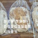 햇밀 | 파란돌천연발효빵 마르쉐 햇밀장 동글이 시식 후기