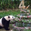 에버민박 이미지