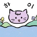 타코비잠실본점 네이버블로그