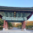 시흥대교 | [공지] 수영성 영보정, 갈매못 성지, 칠산대교 타워, 영광 불갑사 여행후기