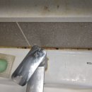 하남입주청소 추천 미사강변유림노르웨이숲 오피스텔 입주청소 후기 리뷰