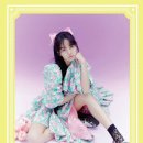 리사플라워