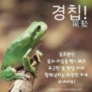 경칩(驚蟄, 양력 3월 5일경) 이미지