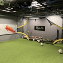 고알레 클럽하우스 이미지