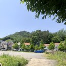 할멈탕수육 이미지