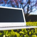 디지털 사진 이미지