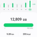 대림동 나들이 린궁즈멘관 산사 탕후루 호떡 월병