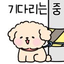 코코의정원 이미지