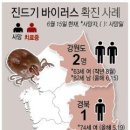 그래픽바이러스 이미지