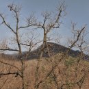 다래산장 이미지