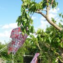 까치인터넷 이미지