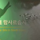 장대들길 이미지