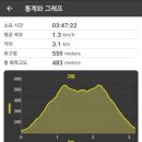투구봉주유소