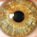 눈시원안과의원 이미지