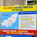 동래통닭 시청점 | 연산동맛집 고향통닭 부산시청점 부산시청맛집 맥주 한잔 하기 딱 좋은 곳