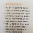 숙미용실 네이버블로그