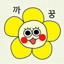 체리앤코