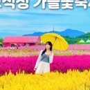 태봉로L 이미지