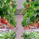 부동산뉴스공인중개사사무소 이미지