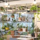 상남동117 이미지