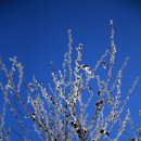 어둔(여) 이미지