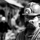 더채움 행정사사무소 이미지