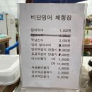 배다골민속박물관 | [배다골 테마파크] 아이와 함께 가기 좋은 서울 근교 체험장