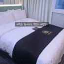엘르고양