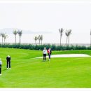 드래곤 골프 이미지