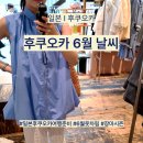비가 | 일본 I 후쿠오카 6월 날씨 비가 얼마나 올까? 여행 옷차림 후기