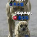 추억팔이 이미지