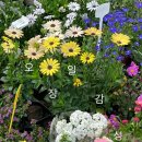 우누커피 이미지