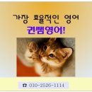 권샘영어